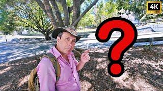 Is This Brisbane's Most FORGOTTEN Park? Emma Miller Place