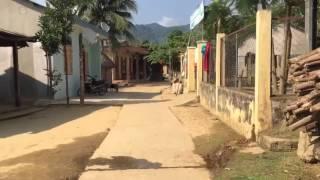 Hoi An motorbike tours