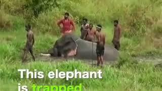 Besarnya kekuasaan ALLAH.SWT dalam menciptakan bumi dan seisinya