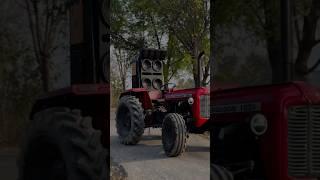 Lal Gowda Modify kar de  #bijughotiya #bijuvlog #minivlog #bijuvlogs #vlog #farming #bijudvlogs ￼