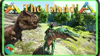 Carno Island & Rex Hunt!  ARK Survival Evolved - SOLO - The Island 2024 (EP22)