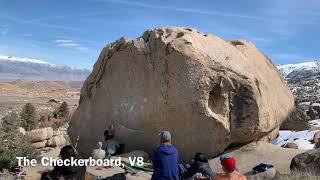 Bishop「The Checkerboard」V8