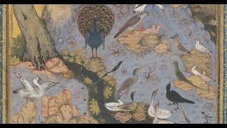 منطق الطیر - Mantiq al-Tayr - Conference of the Birds (Persian/Farsi Audiobook)