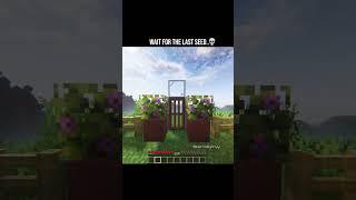 Minecraft’s Most Gorgeous Seeds 