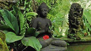 Buddha's Flute: Zen Garden #6