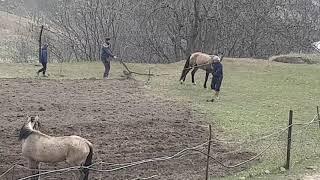 Будни с. Куба Лакский район