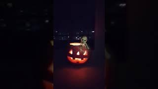 Halloween 2018 in Brest