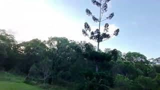 Day 5 Flying a Drone: THE FINAL FLIGHT - RIP DJI Neo #1