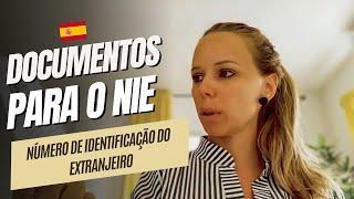 Tudo sobre o NIE Provisório na Espanha: Como Obtê-lo e sua Importância 