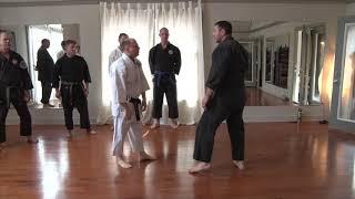 SBK Martial Arts Action Clip from Cashiers NC Seminar March 2019 Clip#1