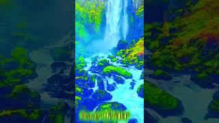 the beauty of nature