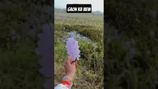 Hamare Nabi ne farmaya#byan #shortclips ##youtube short video #shahnaz Islamic video   
