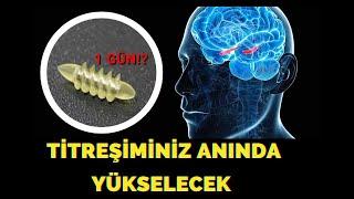 BLOKE OLMUŞ ENERJİYİ ANINDA AÇACAKSINIZ | Kuantum Beyin Titreşimi İçin En Önemli Kelimeler