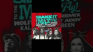 Shake it to the max / @MOLIY @Kalash972 @maureen @silentaddy // Speed up