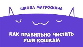 Школа Матроскина. Как правильно чистить уши кошкам?