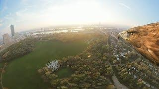 Vienna from an eagle's eye view - 360° (short)