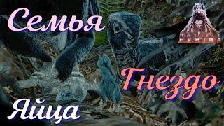 СЕМЬЮ ГИПСИ ВЫЖИДАЮТ У ВХОДА В ГНЕЗДО! The Isle Evrima