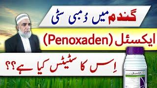 Status of Axial in Wheat crop || Crop Reformer