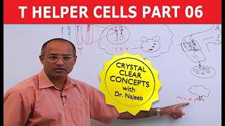 T Helper Cells | Immunology | Part 6/10