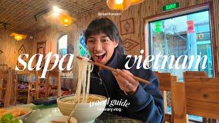 Vietnam Travel Vlog • itinerary + things I wish I knew before going to Sapa from Hanoi 