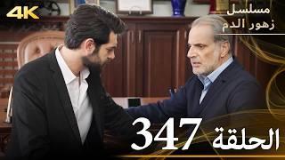 الحلقة 347 | مسلسل زهور الدم | مدبلج بالعربية | Kan Çiçekleri | جودة 4K