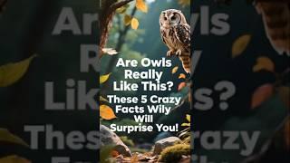"Owls Are Actually Like This? These 5 Crazy Facts Will Shock You!" #shorts #youtubeshorts #owl