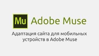 Адаптация сайта для мобильных устройств в Adobe Muse