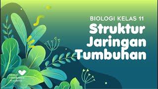 BIOLOGI Kelas 11 - Struktur Jaringan Tumbuhan | GIA Academy