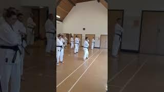 Enpi with Sensei Shinji Nagaki at JKS Harrow