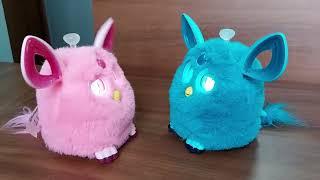 Furby connect общаются между собой