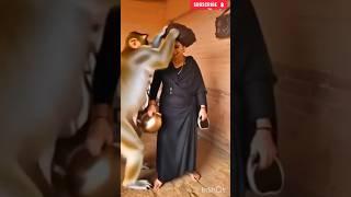 The Shadow Of Death ️  Spiritual Powar Mantra  Chanchal Nathji Agori Shadhvi #MysticVides​ 