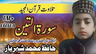 Surah At-tin | at-tin | Talawat-e-quran | Hafiz Muhammad Shaher Yar| سورۃ التین| حافظ محمد شہریار|