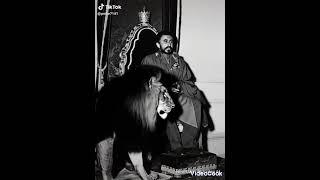 lion of Judah