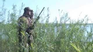 Early Season Teal Hunting Tips - Iowa DNR