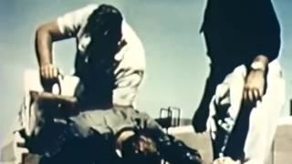 World Record 83 G Deceleration Peak on Rocket Sled |USAF