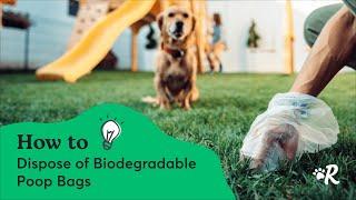 Compostable vs. Biodegradable Dog Poop Bags: Are They Really Eco-Friendly?