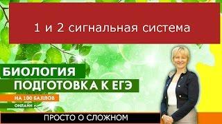 Первая и вторая сигнальная система. Подготовка к ЕГЭ и ОГЭ по биологии