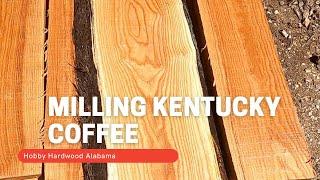 Saw Milling The Kentucky Coffee Tree with our Woodp-Mizer at Hobby Hardwood