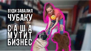 Вуди завалил Чубаку / Саша мутит бизнес / Как мы ходим в кино / 13.06.19