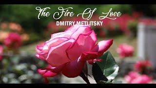 THE FIRE OF LOVE - Dmitry Metlitsky