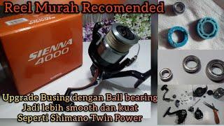 Shimano Sienna 4000FE Upgrade memakai Bearing !! Jadi lebih Smooth & Kuat || Review and Maintenance