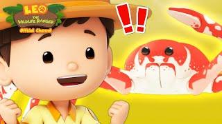  Is that the World's LARGEST CRAB?!  | NEW | 30 MIN | Leo the Wildlife Ranger | Kids Cartoons