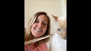 Chromatic scale flutes CMS 2020