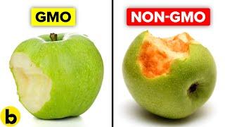 Genetically Modified Foods and Their Pros And Cons