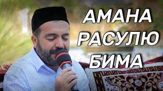 Амана Расулю Бима - два важных аята которых нада выучить