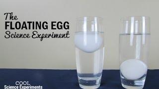 Floating Egg Science Experiment