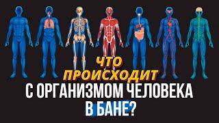 ЧТО ПРОИСХОДИТ С ОРГАНИЗМОМ ЧЕЛОВЕКА В БАНЕ? Как баня влияет на здоровье?