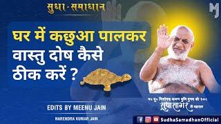 घर में कछुआ पालकर वास्तु दोष कैसे ठीक करें ? Ghar mein Kacchua paalkar #vastudosh kaise thik kare ?