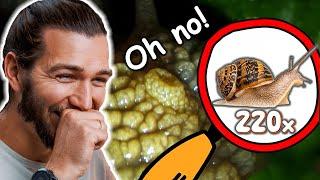 Microscope Expert Reacts to Garden Snail! It's Getting Slimy!