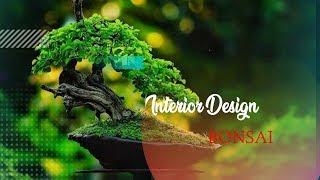 Bonsai interior design